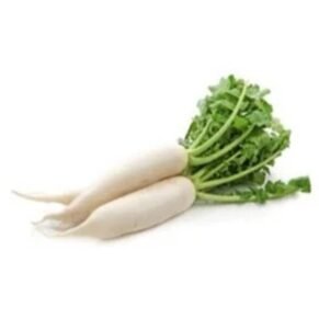 Radish ( muli ) / Mula