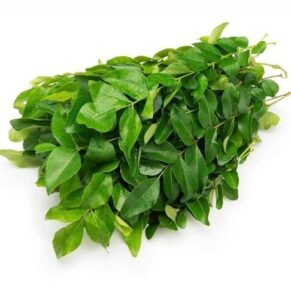 Curry Leaves / कढीपत्ता जुडी / Kadi Patta, 1 Bunch