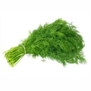 Dill Leaves / शेपू / Shepu, 1 Bunch