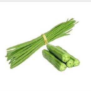 DrumStick / शेवगा / Shevga