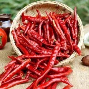 Hot Chilly / तिखट मिरची / Tikhat Mirchi