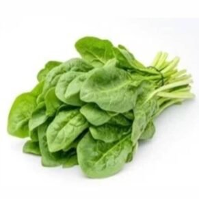 Spinach (Hydroponically Grown ) / पालक / Palak