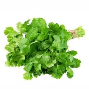 Coriander Leaves / कोथंबीर / Kothambir