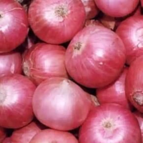 5 KG Onion / 5 Kilo Kanda