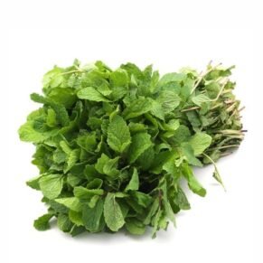 Mint / पुदिना / Pudina