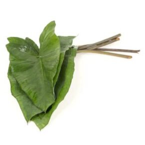 Colacassia Leaves / ALU / अळूची पाने - 1 Bunch